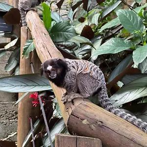 Aldeia Niura Opy Casa de Férias